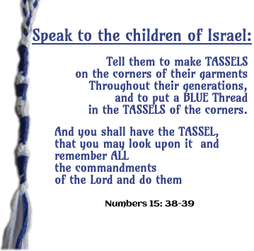 numbers 15 verse 38-39